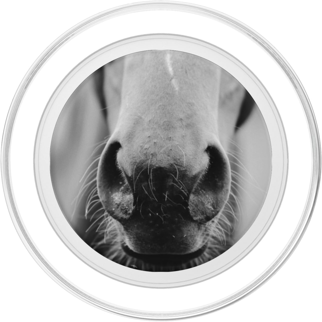 Horse Popsockets Popgrip: Swappable Grip For Phones & Tablets Popsockets Popgrip For Magsafe
